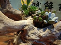 -在路上酒吧(大理古城店)