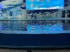 -福州罗源湾海洋世界旅游区