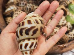 -吴记富苑(朝阳店)