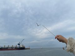 -海驴岛(荣成市)
