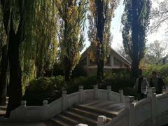 -大兴滨河森林公园