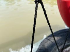 -泗洪洪泽湖湿地景区