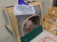 -伟伟宠物医院·CT影像中心·瑞派犬猫综合性门诊(汉口总院)