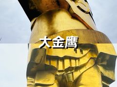 -大金鹰园