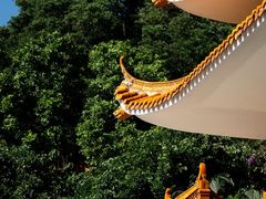 -深圳仙湖植物园