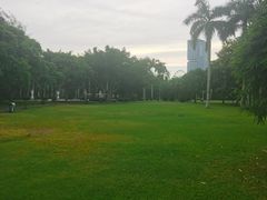 -万绿园
