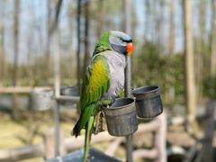 -昆山城市生态森林公园