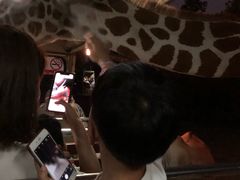 -清迈夜间动物园