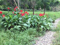 -白鹭湾湿地公园