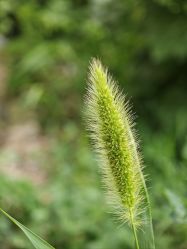 -蓝丝带产后恢复中心(于洪店)