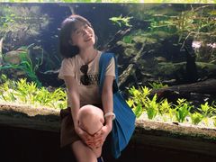 -河川生态园