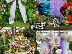 -北戴河集发农业梦想王国