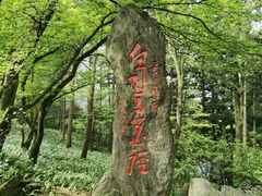 -庐山风景区花径公园