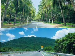 -骑仕租车(三亚凤凰机场店)