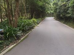 -姑婆山旅游区