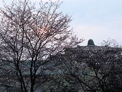 -武汉大学-樱园