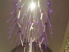 -赵小姐丨新中餐(曲江店)