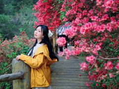 -木兰云雾山