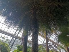 -南山植物园