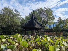 -上海醉白池公园