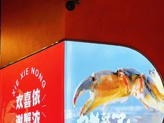 -谢蟹浓·肉蟹煲(新奥店)