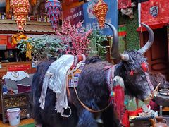 -吉祥圣雪藏餐