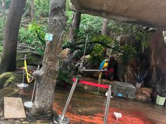 -燕塞湖鸟语林景区
