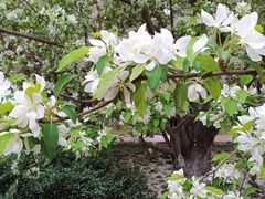 -元大都城垣遗址公园