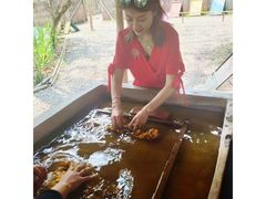 -大象粑粑造纸公园