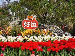 -南山植物园