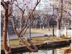 -三里河公园
