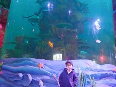 -青岛嘉年华主题乐园