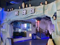 -重庆欢乐海底世界