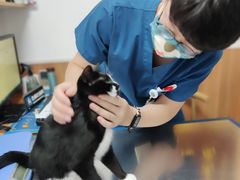 -宠福鑫动物医院·动物疾病诊疗中心(天通苑店)