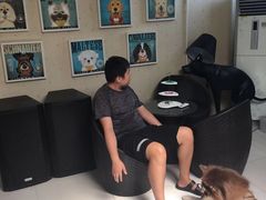 -宠物寄养训练学校