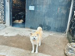 -半坡国际艺术区