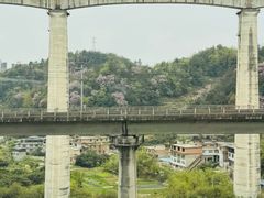 -贵阳龙洞堡国际机场-T2航站楼