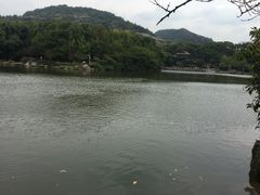 -白马涧龙池景区