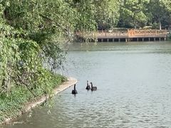 -华东政法大学(松江校区)