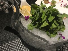 -梧桐餐厅(泉城路店)