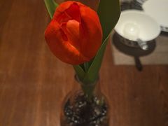 -百富源·海鲜辽菜(和平北大街店)