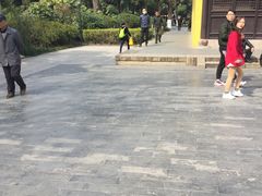 -常州古运河南大街文化旅游区-人民公园