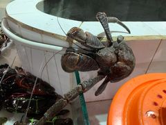 -海盗餐厅