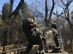 -北京动物园-畅观楼