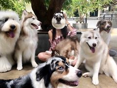 -TrueLove @ Neverland (Husky Cafe)