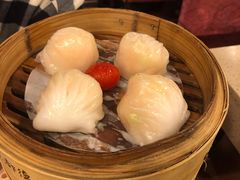 金牌虾饺皇-点都德(聚福楼店)