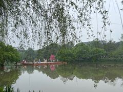 -常德桃花源景区