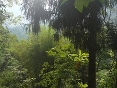 -青城山