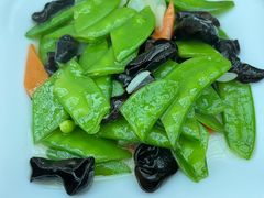 吉祥三宝-少林寺欢喜地素斋馆