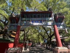 -北京国子监胡同